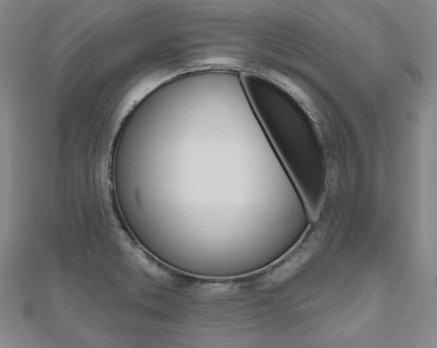X0000110961373200906191041