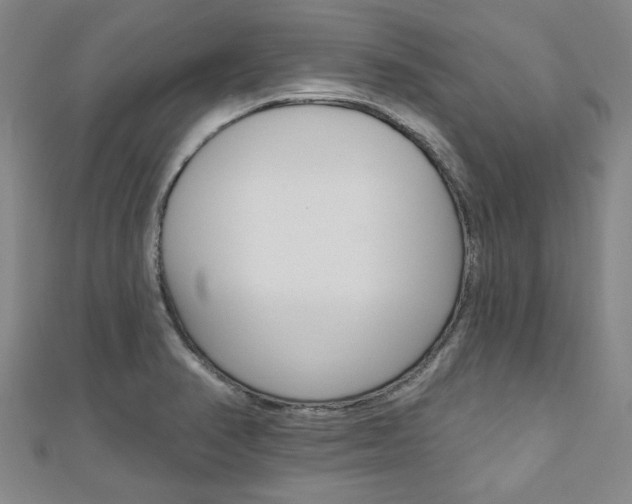 X0000110961374200906191041
