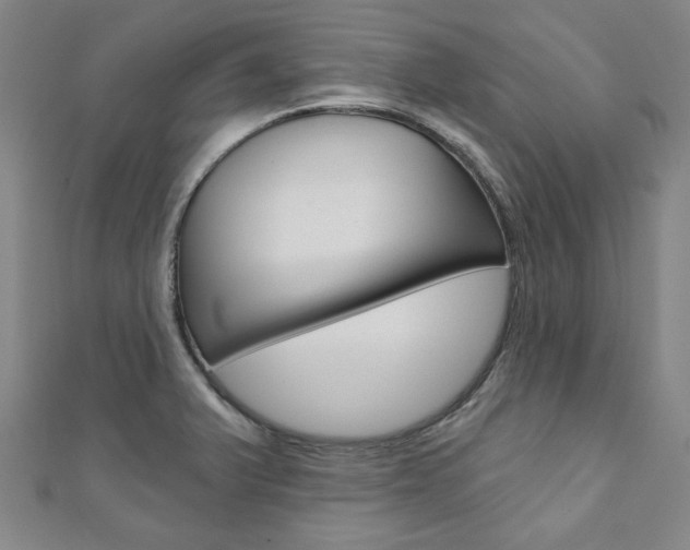 X0000110961375200906191040