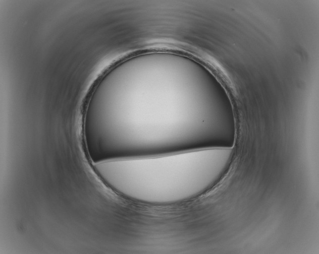 X0000110961376200906191040