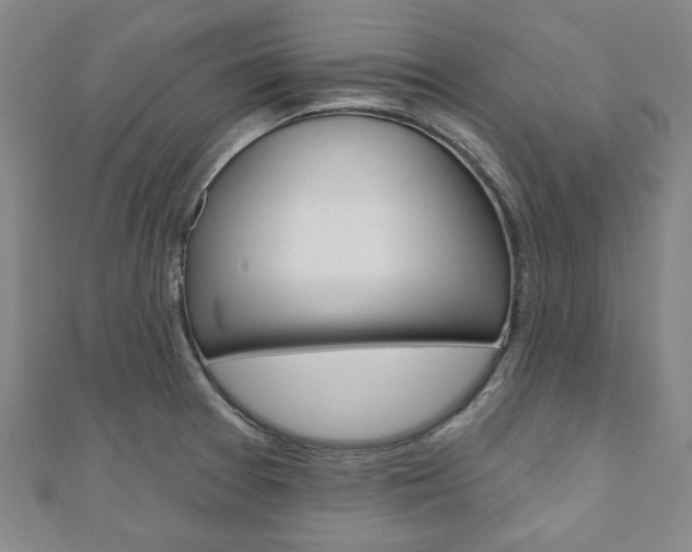 X0000110961377200906191040