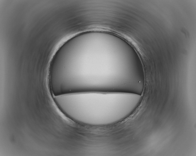 X0000110961379200906191040