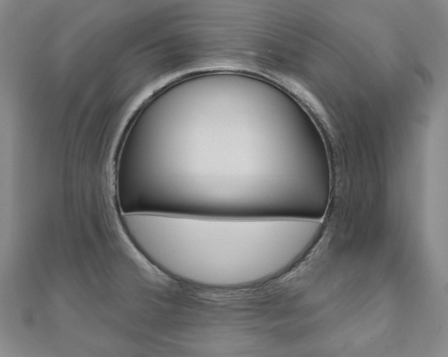 X0000110961380200906191040