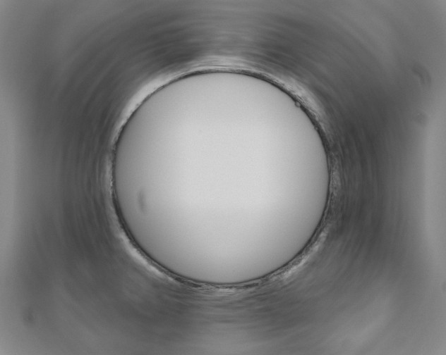 X0000110961382200906191040