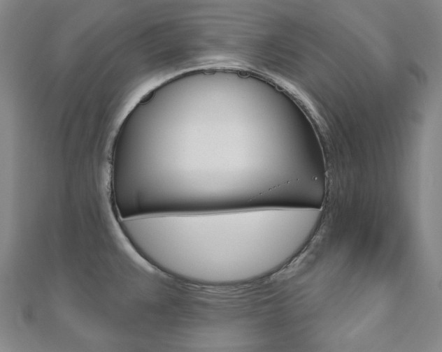 X0000110961383200906191040