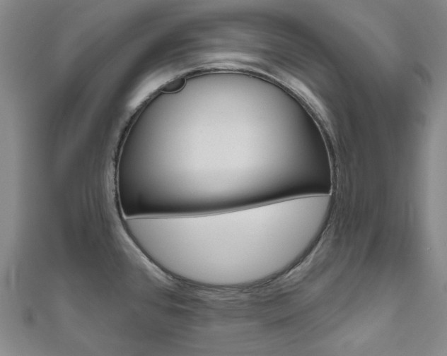 X0000110961384200906191040