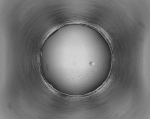 X0000110961385200906191040
