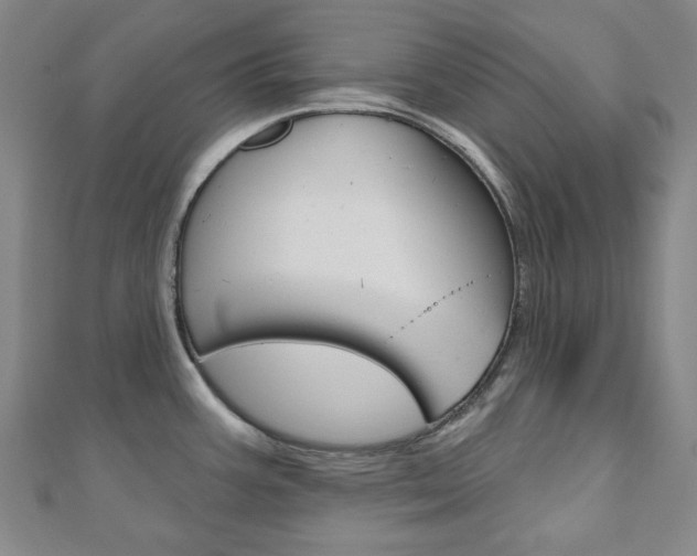 X0000110961387200906191040