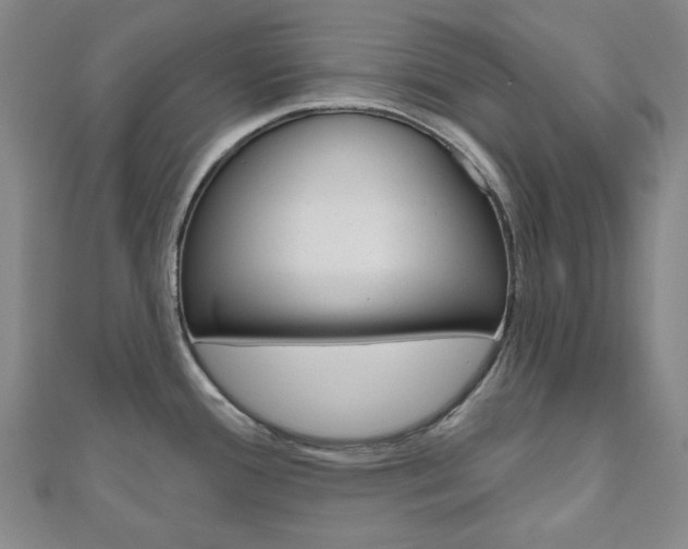 X0000110961388200906191040