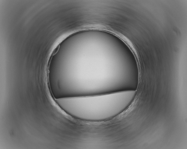 X0000110961389200906191040