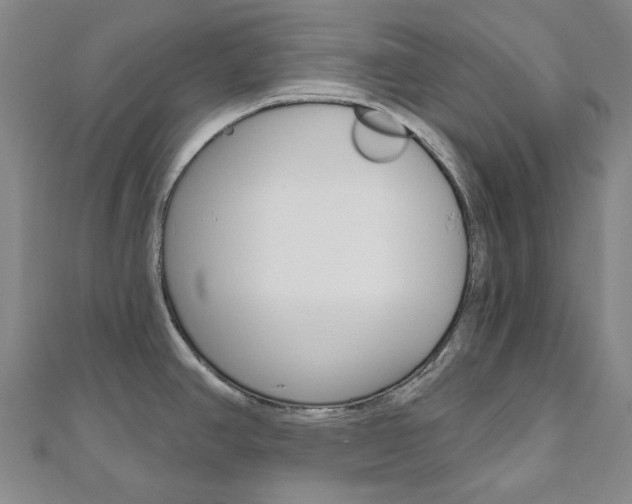 X0000110961390200906191040