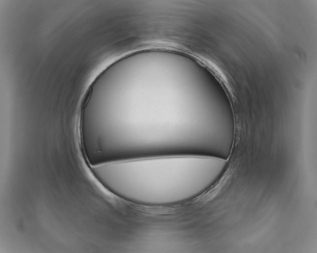 X0000110961391200906191040