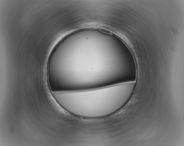 X0000110961392200906191040