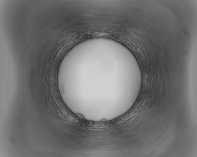 X0000110961393200906191040