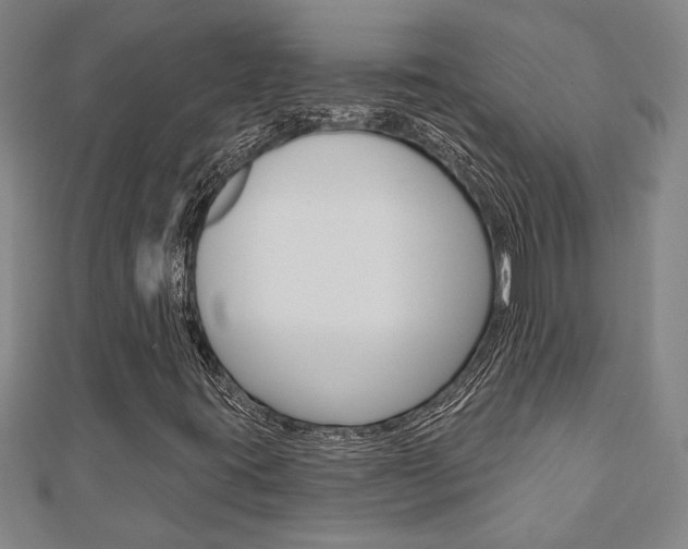 X0000110961395200906191040