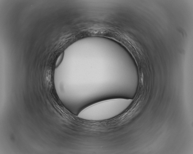 X0000110961396200906191040