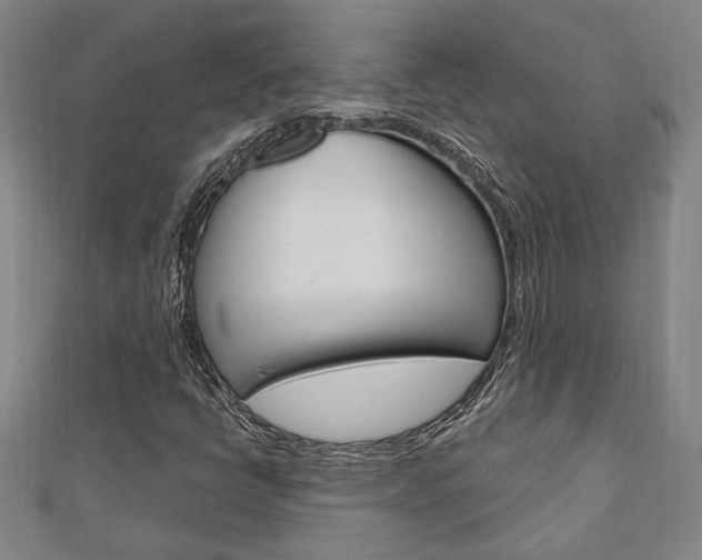 X0000110961398200906191040
