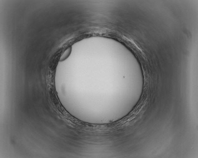 X0000110961399200906191040