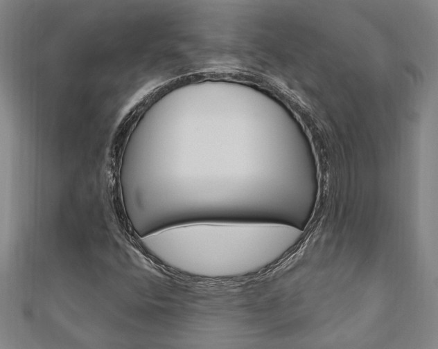 X0000110961400200906191040