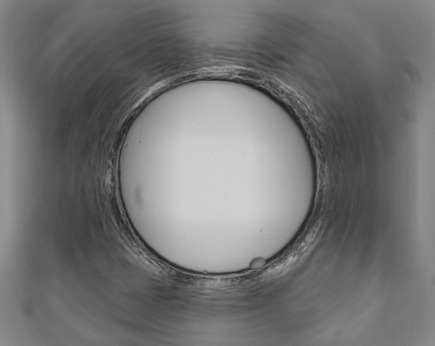 X0000110961401200906191040