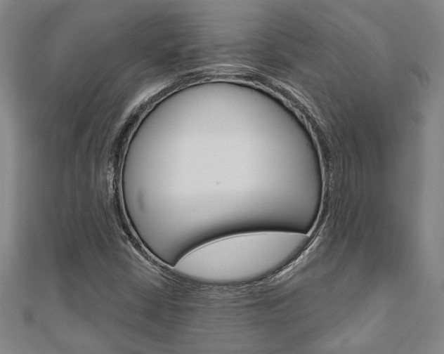 X0000110961402200906191040