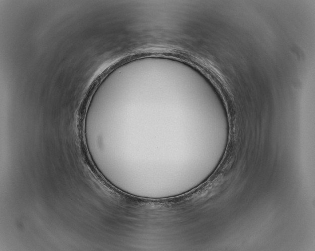X0000110961404200906191040