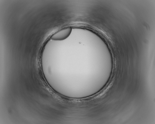 X0000110961405200906191040