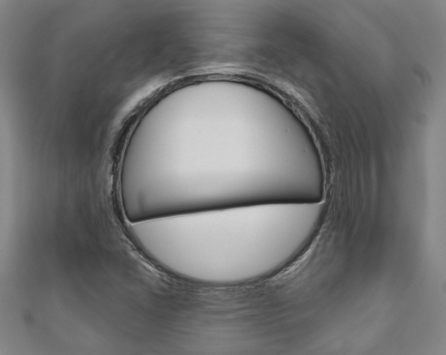 X0000110961406200906191040