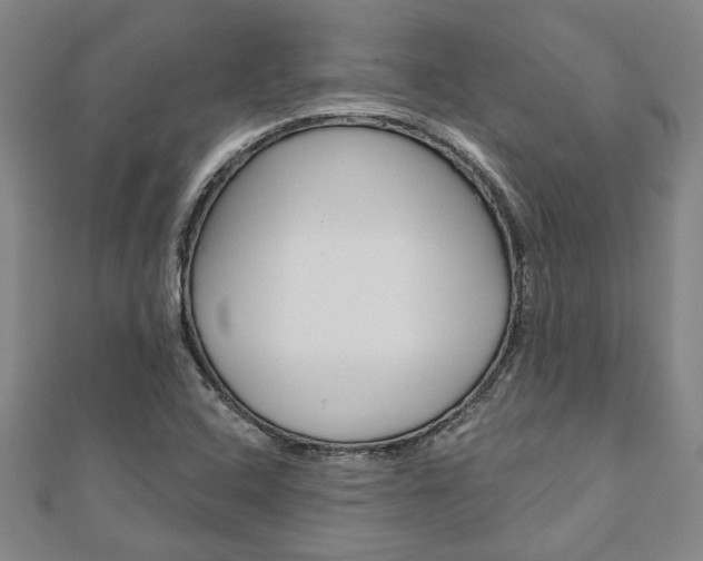 X0000110961408200906191040