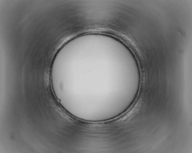 X0000110961409200906191040