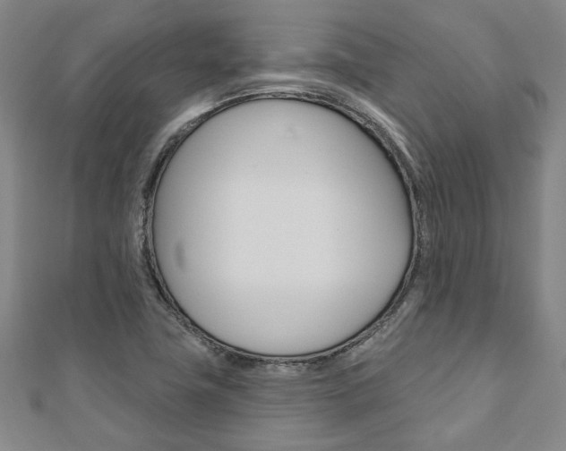X0000110961411200906191040