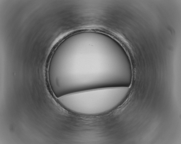X0000110961412200906191040