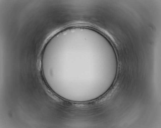 X0000110961413200906191040