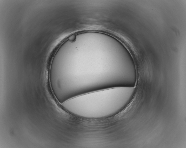 X0000110961414200906191040
