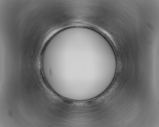 X0000110961415200906191040