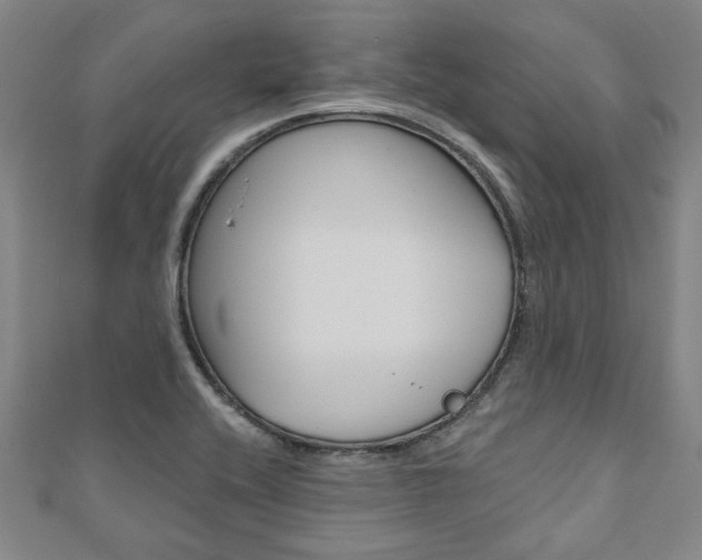 X0000110961416200906191040