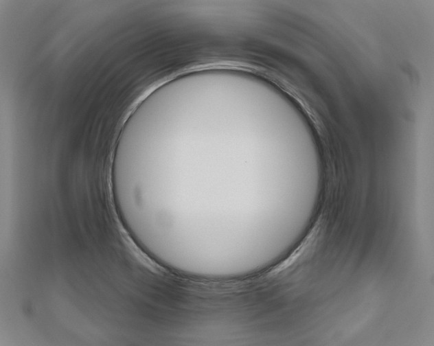 X0000110961417200906191040