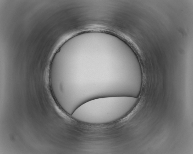 X0000110961421200906191040