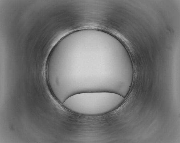 X0000110961423200906191040