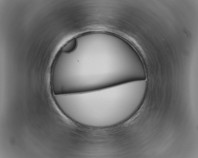 X0000110961424200906191040