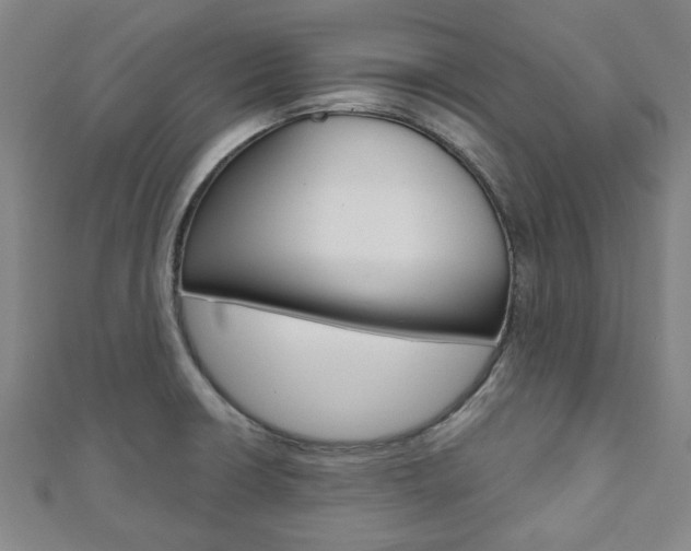 X0000110961426200906191040