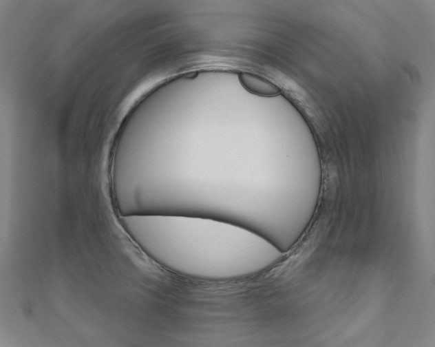 X0000110961427200906191040