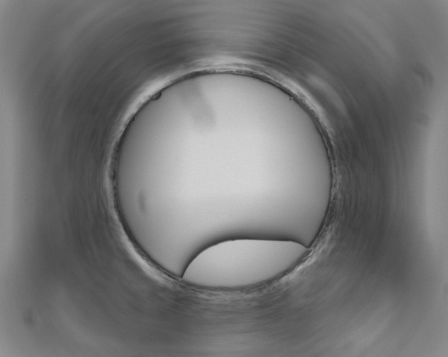 X0000110961429200906191040