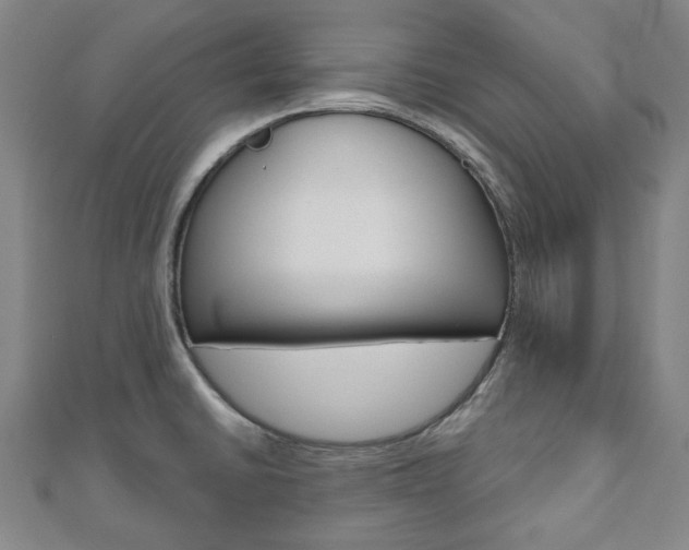 X0000110961430200906191040