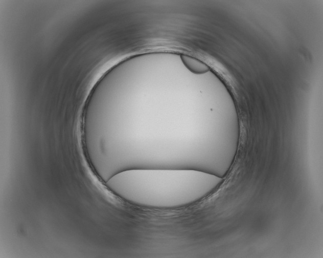 X0000110961431200906191040