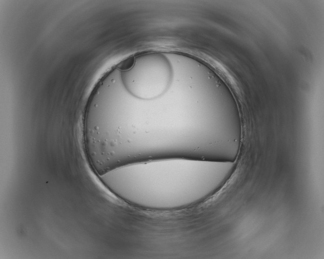 X0000110961432200906191040