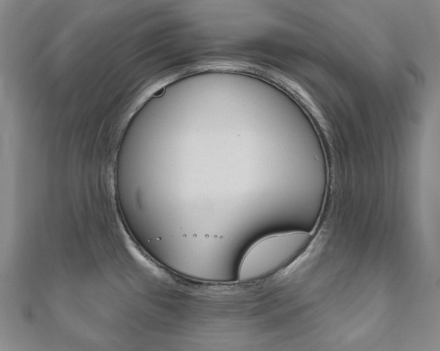 X0000110961433200906191040