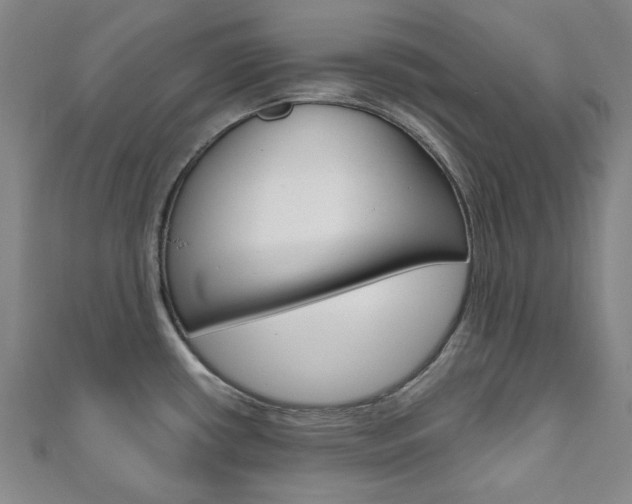 X0000110961434200906191040