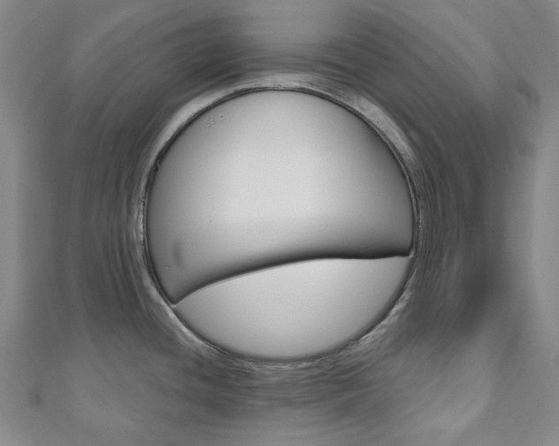 X0000110961436200906191040