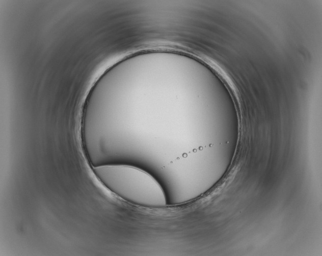X0000110961437200906191040
